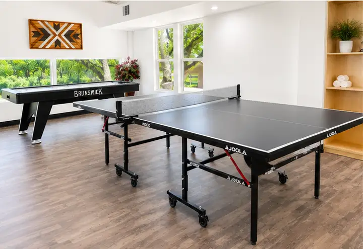 Indoor game room with a JOOLA ping pong table and Brunswick shuffleboard table on wood-look flooring near bright